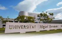 Cátedra Empresa Familiar de la UMH de Elche